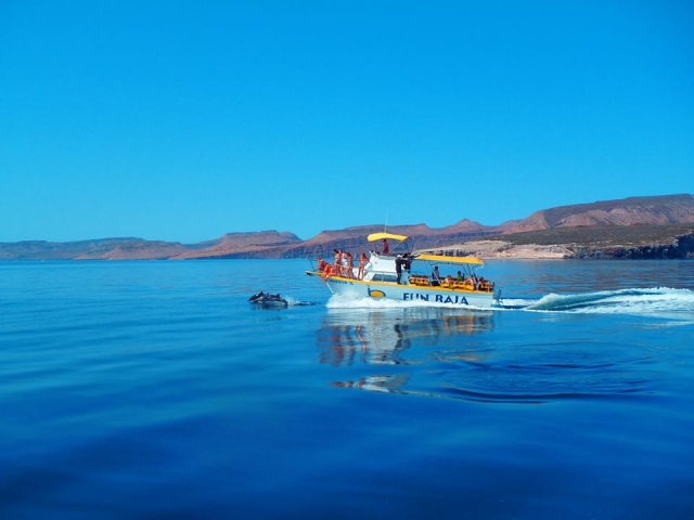  巴哈 (Baja) 的海上乐趣 